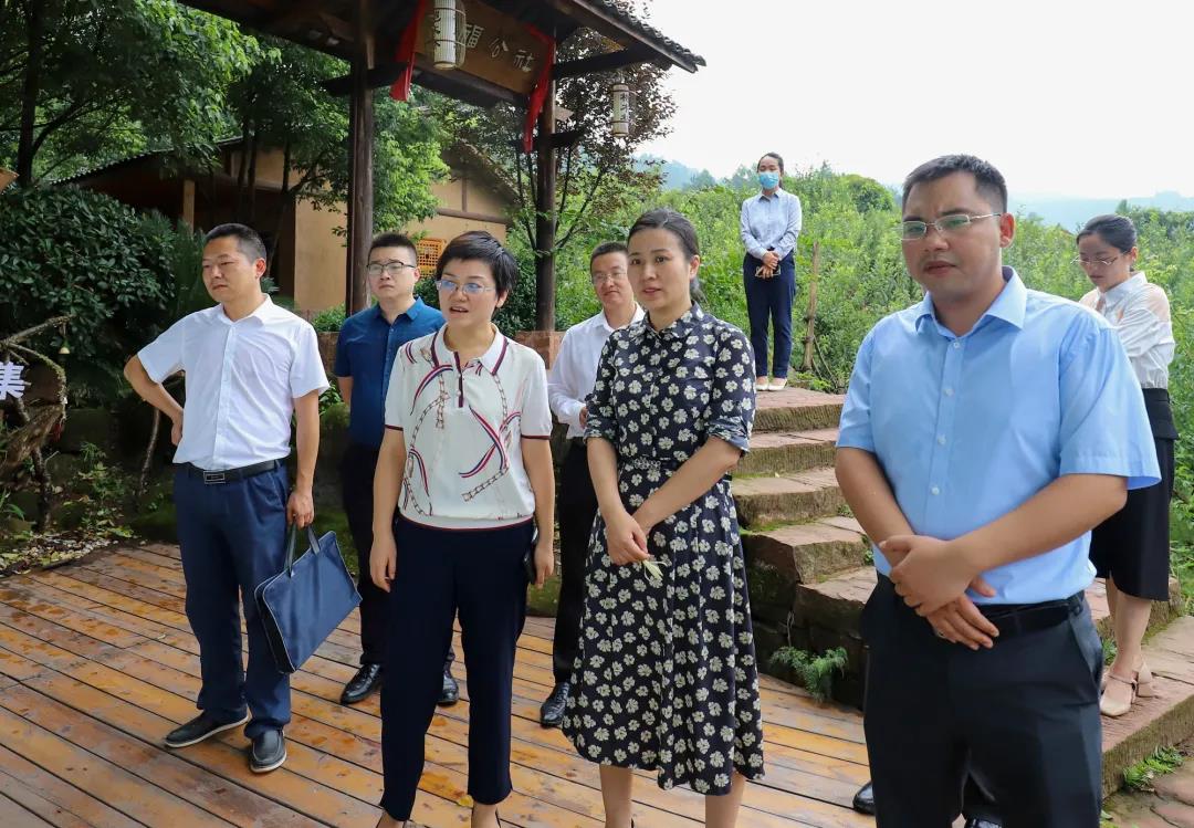王淑琳调研丹棱县汉华龙鹄山国际文化旅游度假区项目工作