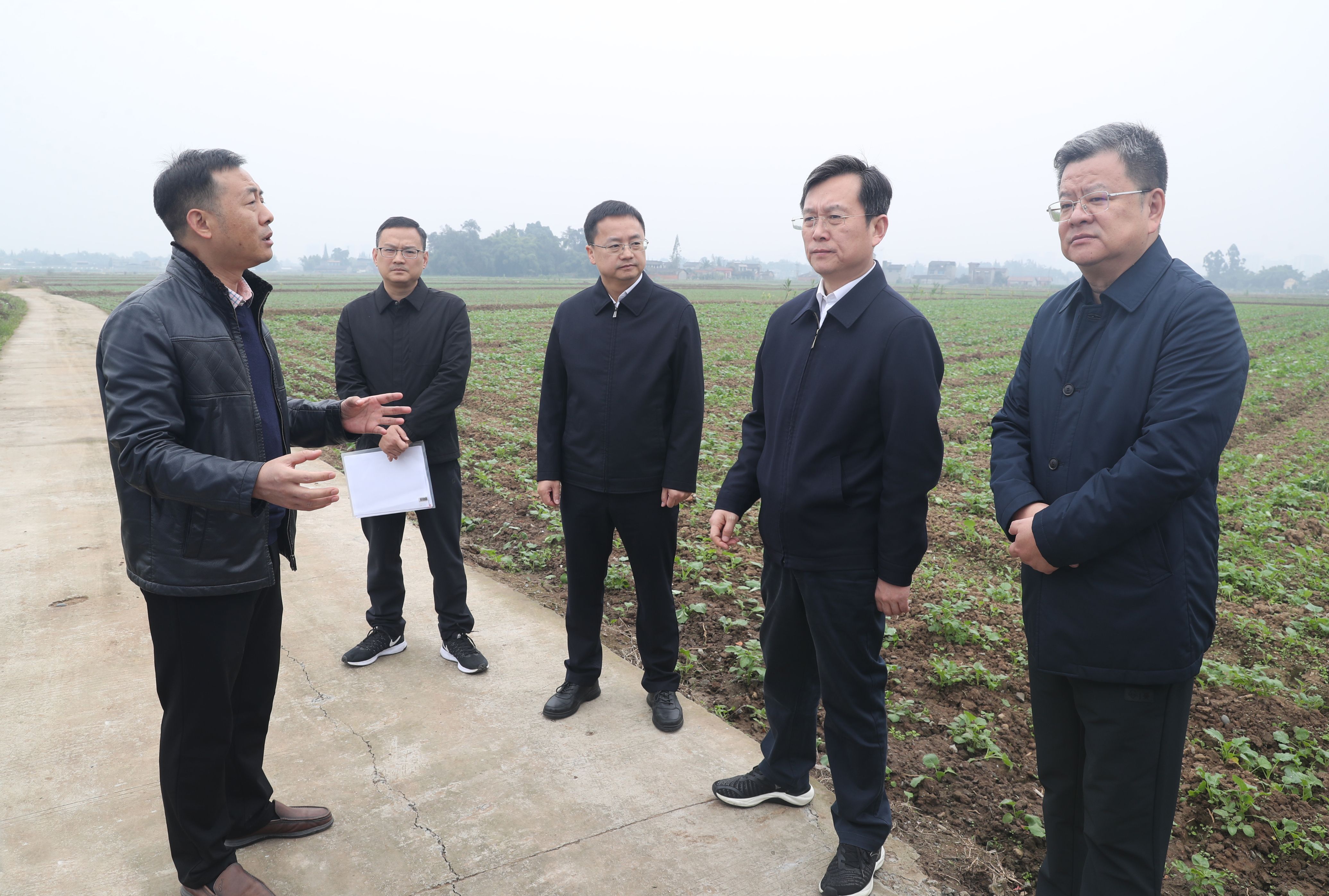 中共眉山市委 眉山市人民政府 门户网站
