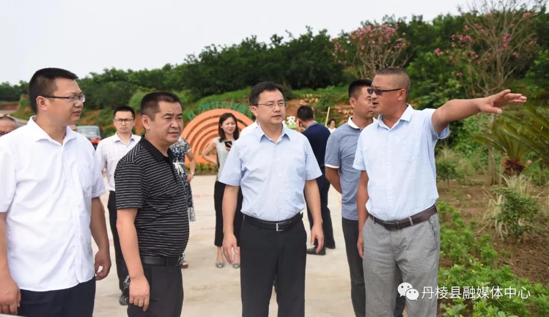 丹棱县委副书记县长黄秀航调研全县农村人居环境整治百日攻坚行动工作